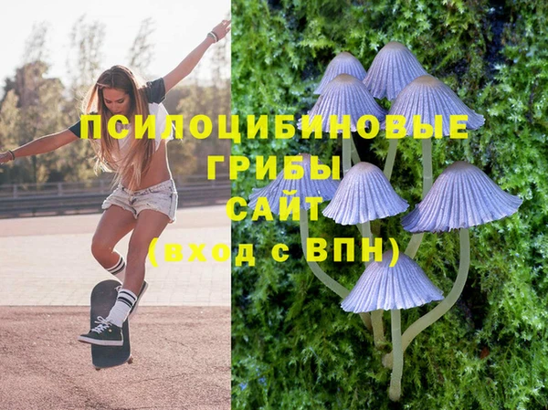 не бодяженный Белокуриха